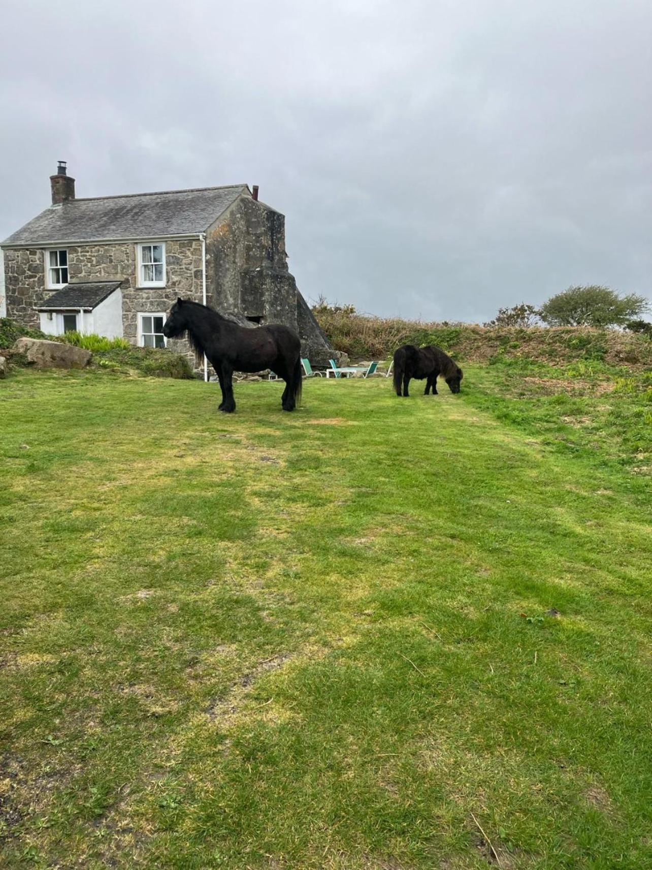 Kitts Cottage, Redruth, Cosy Cornish Retreat Eksteriør billede