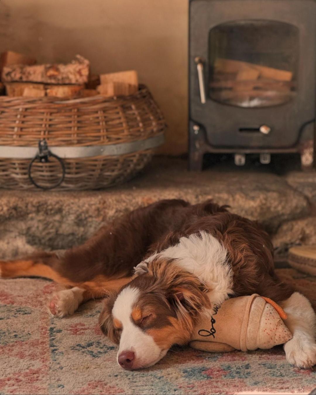 Kitts Cottage, Redruth, Cosy Cornish Retreat Eksteriør billede